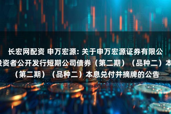 长宏网配资 申万宏源: 关于申万宏源证券有限公司2024年面向专业投资者公开发行短期公司债券（第二期）（品种二）本息兑付并摘牌的公告