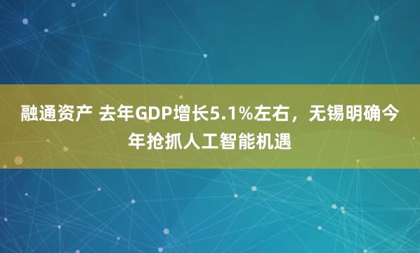 融通资产 去年GDP增长5.1%左右，无锡明确今年抢抓人工智能机遇